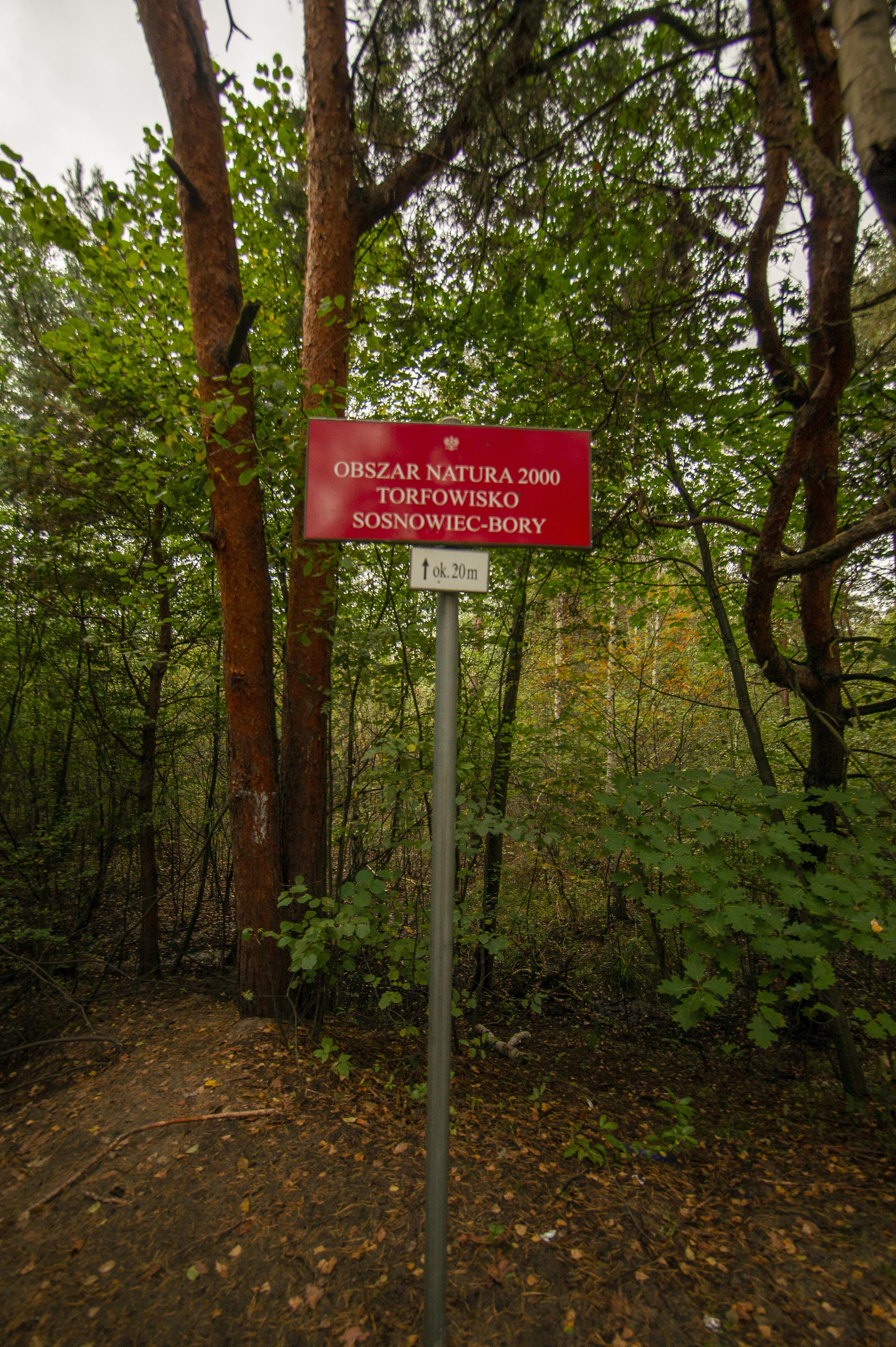 Torfowisko Sosnowiec-Bory